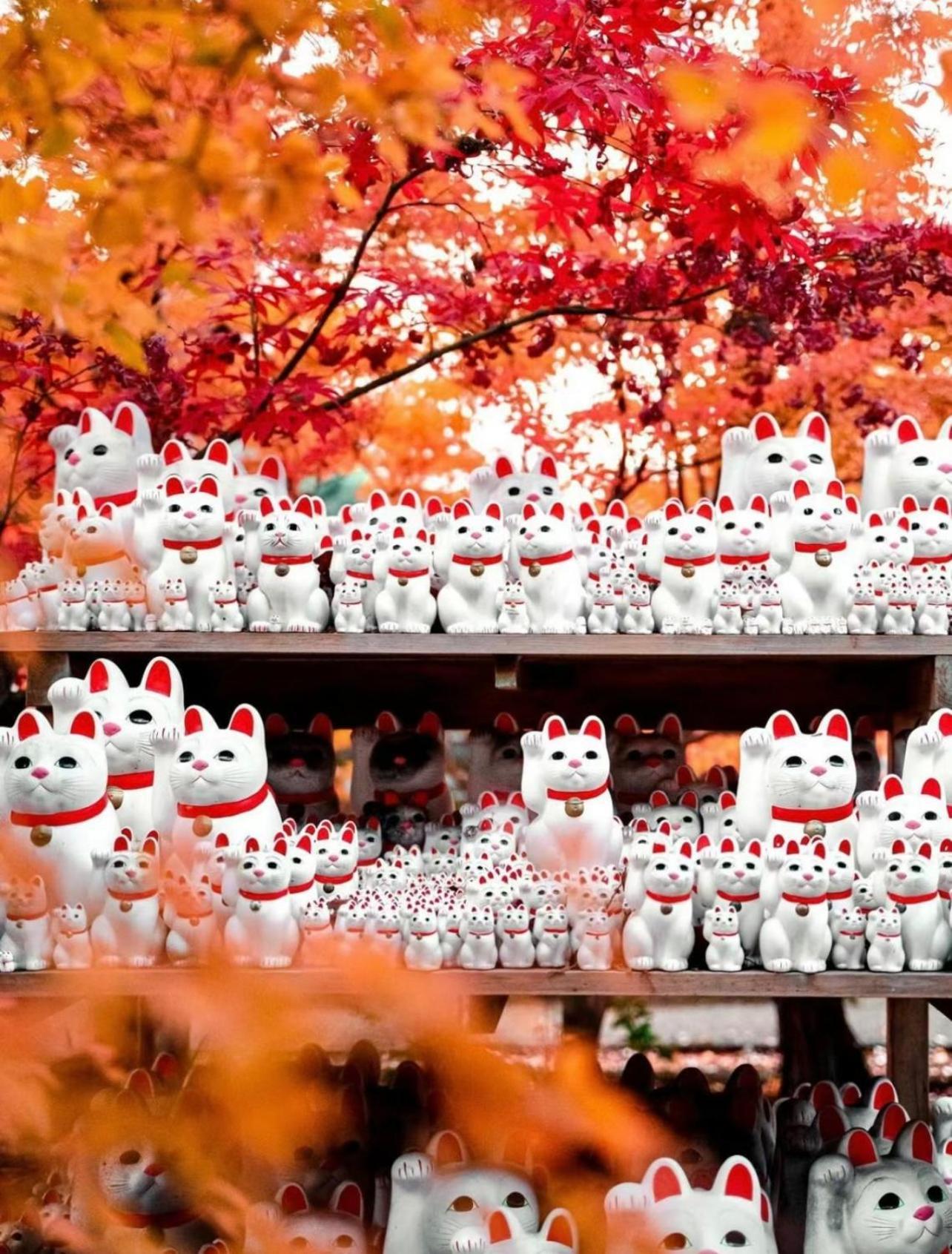 吉吉の家 Villa Tokyo Dış mekan fotoğraf